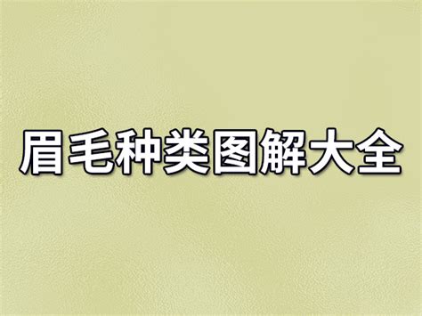 眉頭面相|眉毛面相图解大全：28种眉毛类型图文详细分析！